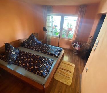 Hateg House | Casa Otilia
