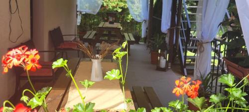 Orsova House | Casa Patryk