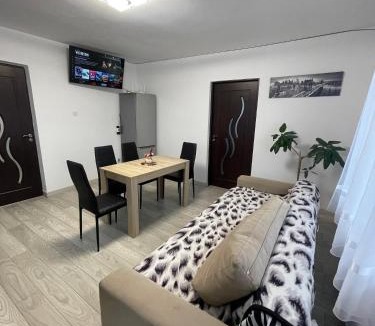 Campulung Moldovenesc Apartment | Casa Pietrele Doamnei Garden Apartment