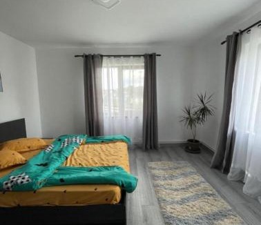 Campulung Moldovenesc Apartment | Casa Pietrele Doamnei Garden Apartment