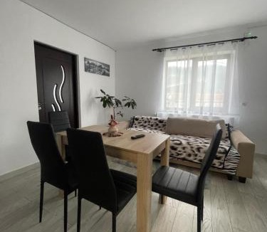 Campulung Moldovenesc Apartment | Casa Pietrele Doamnei Garden Apartment