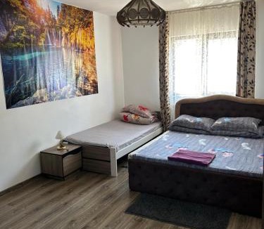 Campulung Moldovenesc Apartment | Casa Rarăului