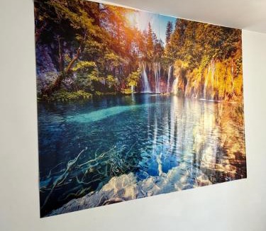 Campulung Moldovenesc Apartment | Casa Rarăului
