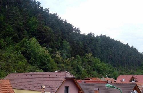 Brasov Villa | Casa Regal