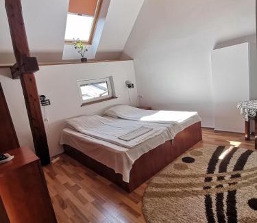 Sacele House | Casa Sara