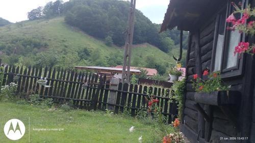 Pietroasa House | Casa Speranța din Poieni