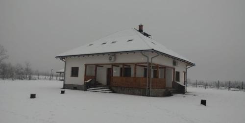 Valcea House | Casa Teodor