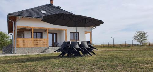 Valcea House | Casa Teodor