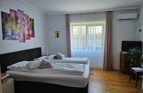 Tasnad House | Casa Teonia