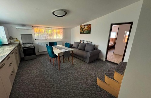 Vaslui Apartment | Casa Tiana 1