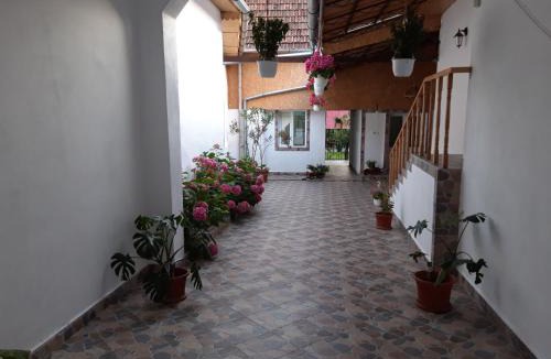 Eftimie Murgu House | Casa Valea Morilor