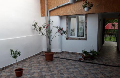 Eftimie Murgu House | Casa Valea Morilor