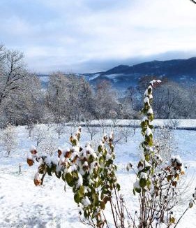 Corbeni House | Casa Veche Corbeni