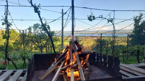 Tileagd House | Casa Wylak Winery