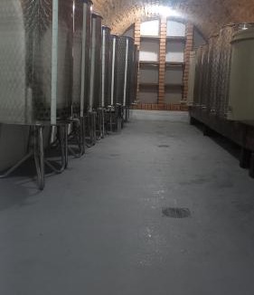 Tileagd House | Casa Wylak Winery