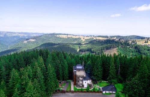 Paltinis House | Castelul de Piatra