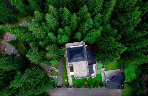 Paltinis House | Castelul de Piatra