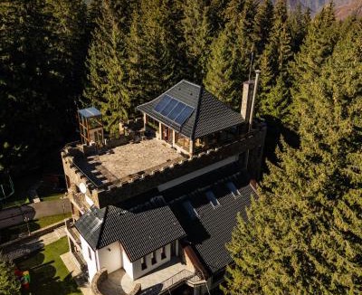 Paltinis House | Castelul de Piatra