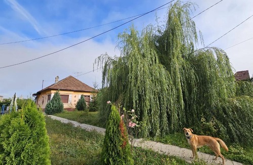 Sighisoara House | Casuta cu View