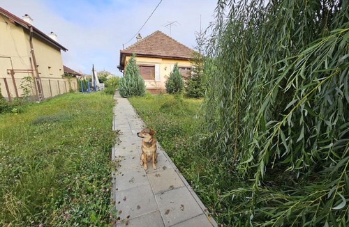 Sighisoara House | Casuta cu View