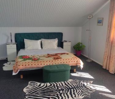 Arbore House | Casuta din padure-Clit