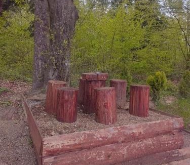 Arbore House | Casuta din padure-Clit