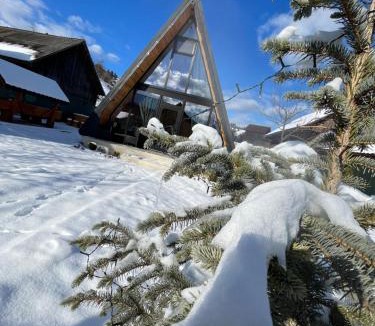 Stulpicani Ski Chalet | Casuta mea