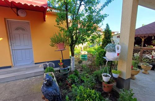 Cobadin House | Cazare Schitul Sf Gherasim