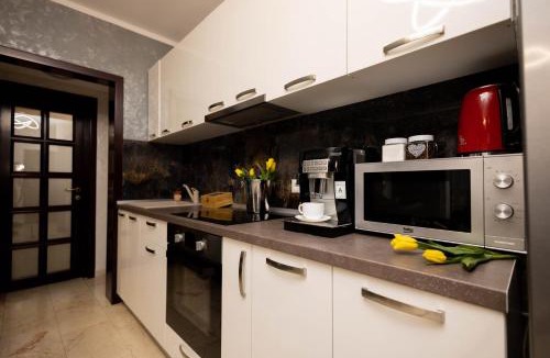 Iasi Apartment | Central Apartament 3