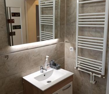 Tirgu Mures Apartment | Central Calarasilor ap 1