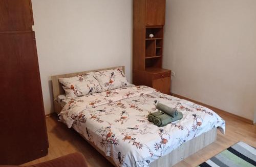 Tirgu Mures Apartment | Central Filimon 24