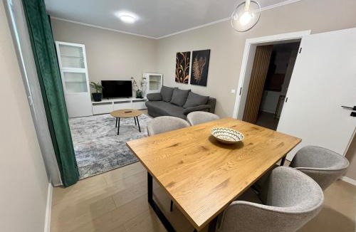 Tirgu Mures Apartment | Central Loft Mimozelor