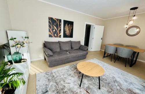 Tirgu Mures Apartment | Central Loft Mimozelor