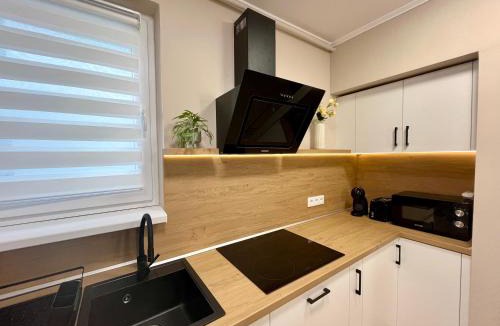 Tirgu Mures Apartment | Central Loft Mimozelor