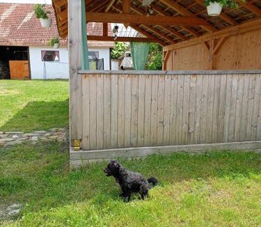 Soars House | Chalet Giuel