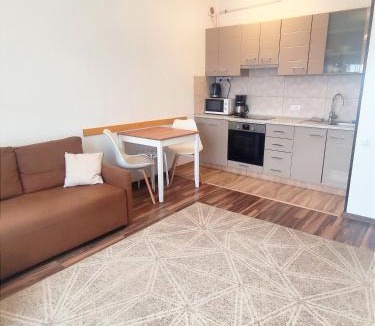 Iasi Apartment | Charming apartment in villa Ap2