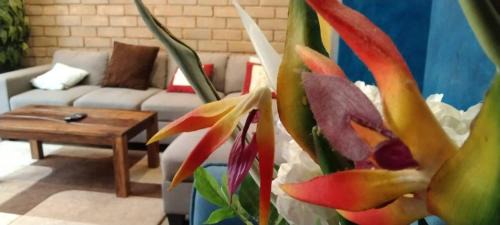 Bengaluru Apartment | Charming & Elegant 4BHK Villa
