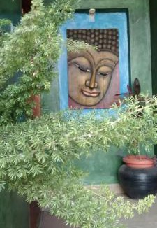 Bengaluru Apartment | Charming & Elegant 4BHK Villa