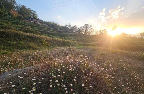 Ukhimath Cabin | Chaukhamba Cradle