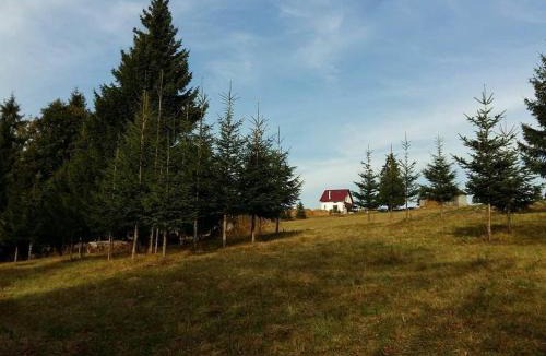 Piatra Fantanele House | Cheerful 6-bedroom villa with indoor fireplace - price for entire property