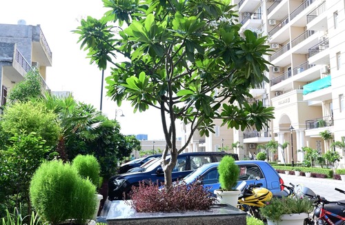 Chandigarh House | Chic 3-bedroom apartment with WiFi, AC in superb location near to Mohali Airport