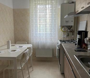 Tirgu Ocna Apartment | City Apartment