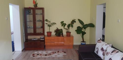 Tirgu Ocna Apartment | City Apartment