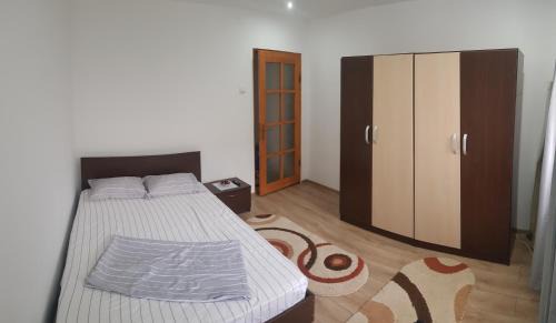 Tirgu Ocna Apartment | City Apartment