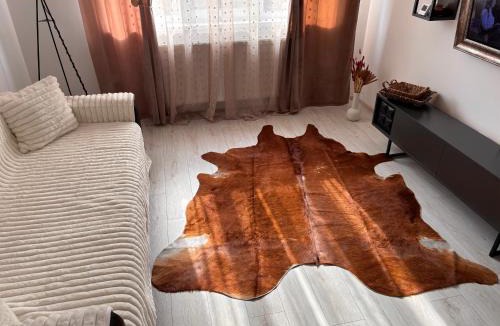 Bacau Apartment | City Comfort Apartment