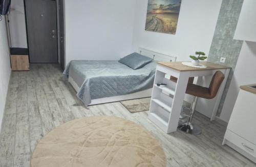 Targu Secuiesc Apartment | City Studio