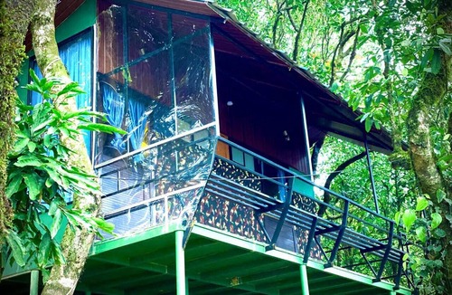 Vagamon Resort | Cloub Cabana Holidays