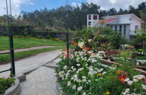Kodaikanal Ski Chalet | CLOUDWALKS HIDEOUT
