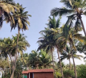 Hireguthi Other | Coastal Vibes Camping Tents