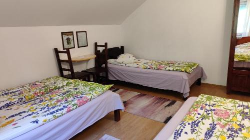 Malaiesti Cabin | Codrin